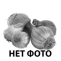 Луковицы нарцисса Heamoor (Хемур)